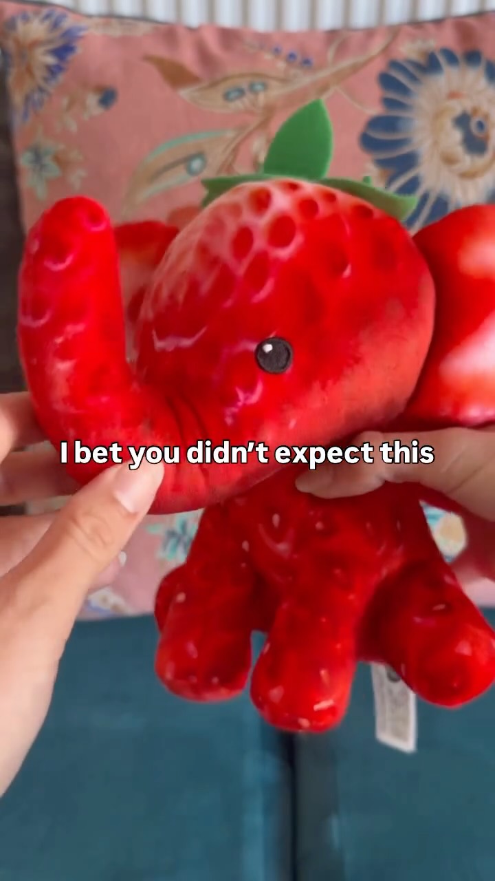 755946577_18606313888014864_3038732465572092368_n