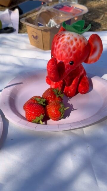 And somehow… Foodibles were born. 🥹🍓🐘

We have questions, but they’re just too cute to care.

#Foodibles #CuteToys #Plushie #FunnyTikTok #Collectibles