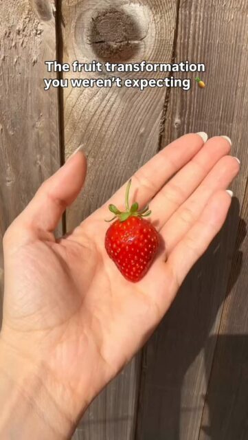 One second it’s a fruit, the next it’s a Foodible 😂🍓
Which one would you pick?
Shop the Foodibles collection on TikTok Shop.
#foodibles #foodiblestoys #collectibletoys #kidstoys #tiktokshopuk