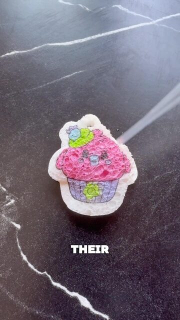 This is WAY more fun than just buying another squishy π
They get to colour their Spongeez however they want, add water and then watch their own design transform into a squishy charm.
And yes, they can make a completely different one every time.
Shop Spongeez and let them create their own ππ»
#spongeez #kidsactivities #creativekids #messfreeactivities #craftsforkids