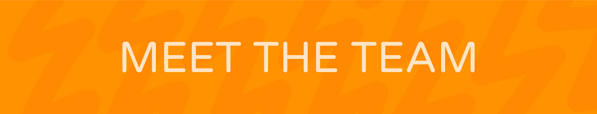 Meet the Team (graphical text banner)