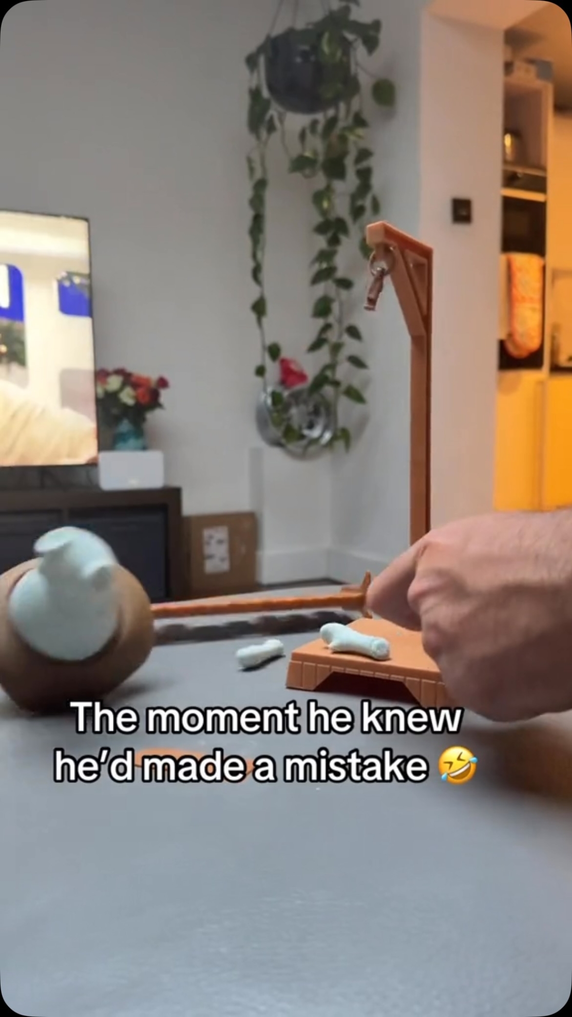 725921821_18595176451014864_5031161746886153516_n